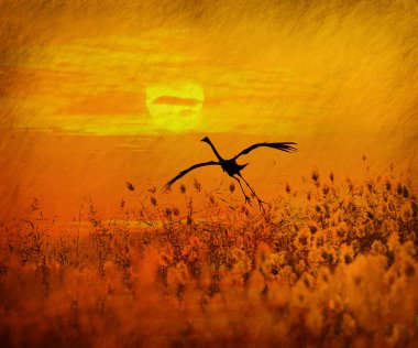 Sunset with a flighting bird clipart