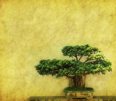 Tree with old grunge antique paper texture clipart