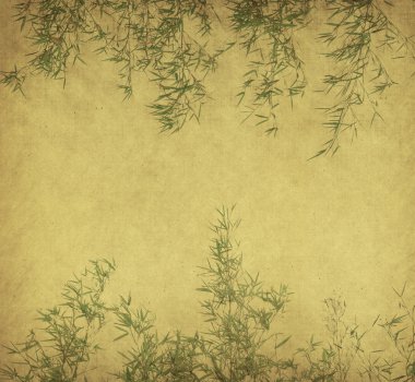 Bamboo on old grunge antique paper texture clipart