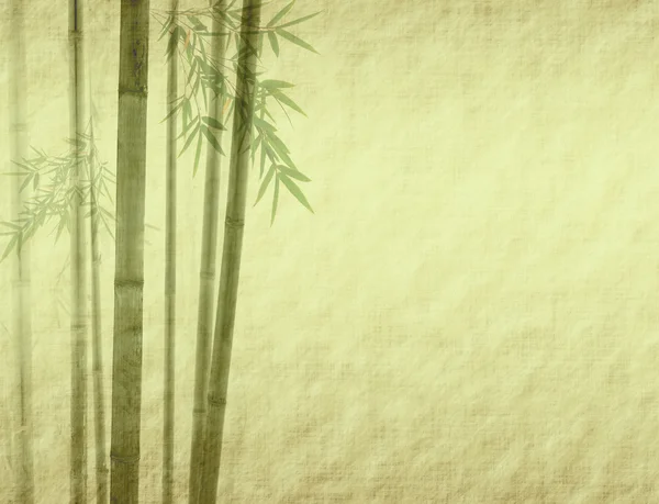 Bambu på gamla grunge antika papper konsistens — Stockfoto