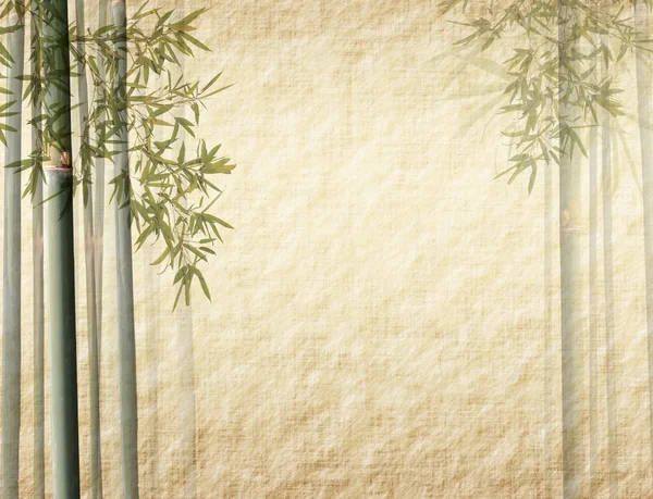 Bambu na velha textura de papel antigo grunge — Fotografia de Stock