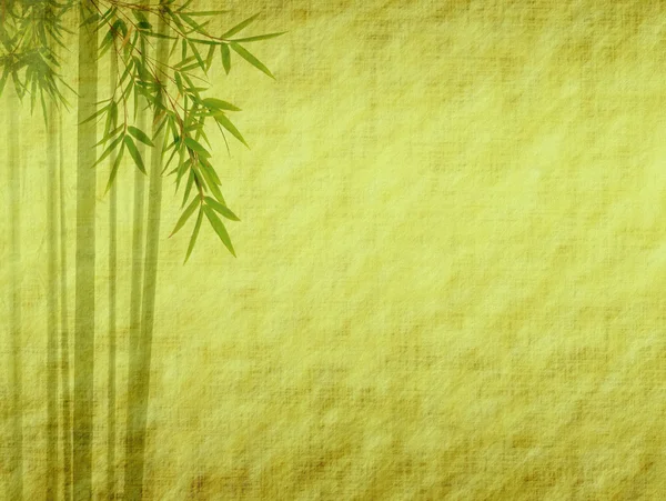 Silhouette of branches of a bamboo on paper background — Stock Photo, Image