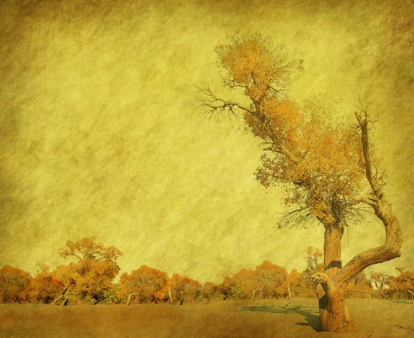 Eski Antik Kağıt doku ile ağacı — Stok fotoğraf