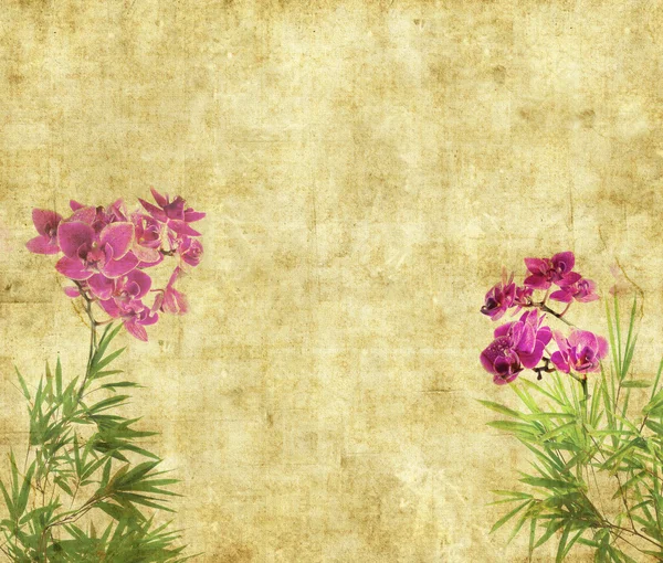 Орхидеи с бамбуковыми листьями на старой старинной бумажной текстуре — стоковое фото