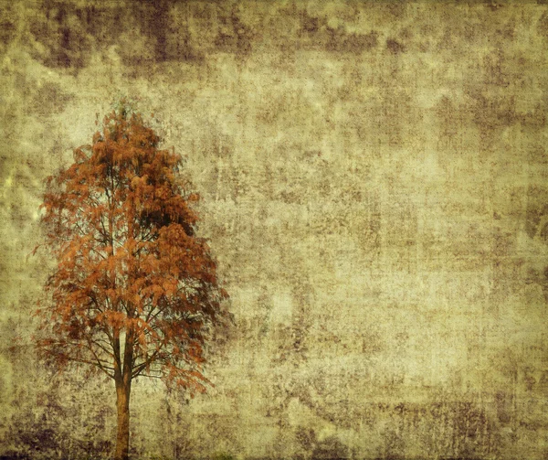 Tree with old grunge antique paper texture — Stock Photo, Image