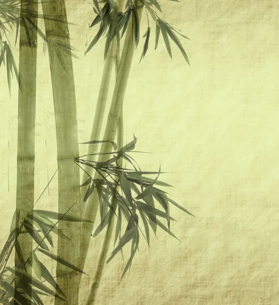 竹子在古旧的磨擦古纸质感上 — 图库照片