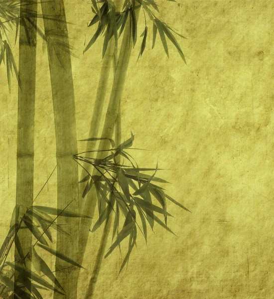 Silueta větví bambus na pozadí — Stock fotografie