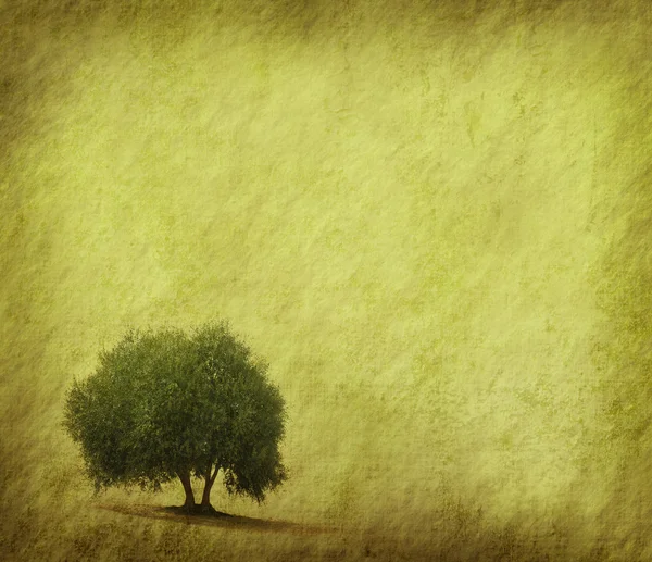 Drzewo z stary grunge tekstur papieru antyków — Zdjęcie stockowe