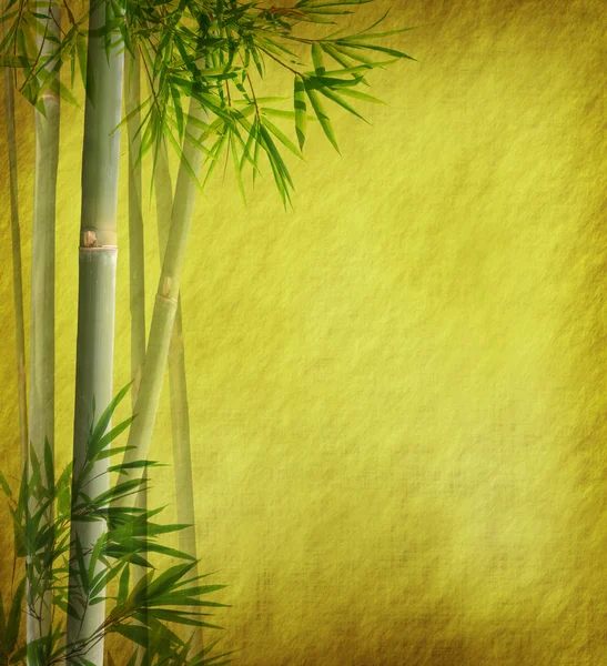 Kağıt arka plan bambu dalları silüeti — Stok fotoğraf