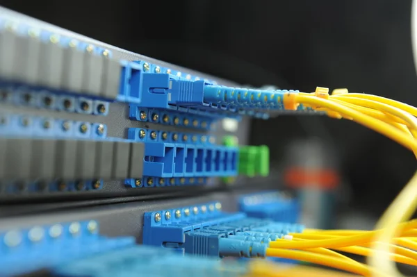 A hálózati kábel és a technológia adatközpont kiszolgálójára lövés — Stock Fotó