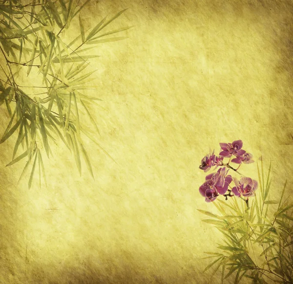 Orchids with bamboo leaves on old grunge antique paper texture — Stock Photo, Image