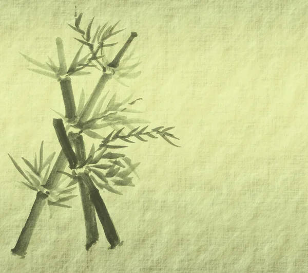 竹纸背景上的分支的剪影 — 图库照片