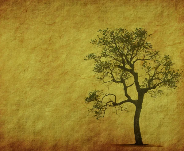 Дерево со старинной бумажной текстурой гранжа — стоковое фото