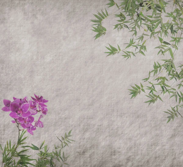 Orquídeas com folhas de bambu em grunge velho textura de papel antigo — Fotografia de Stock