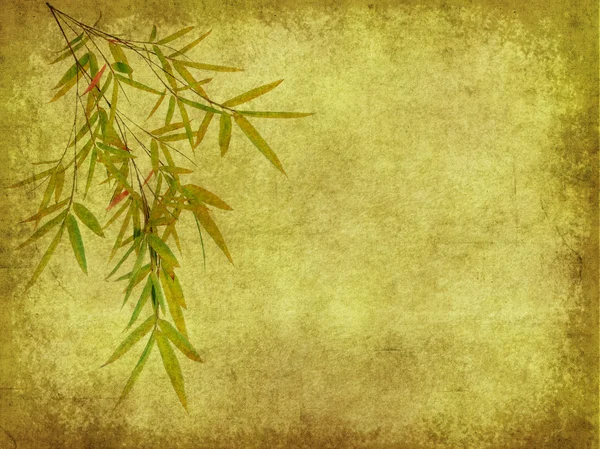 [背景に用紙を竹の枝のシルエット — ストック写真