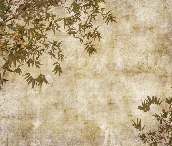 Silhouette di rami di un bambù su sfondo di carta — Foto Stock
