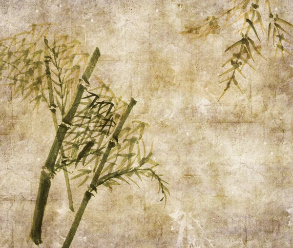 Σκιαγραφία από κλάδους της μια μπαμπού σε φόντο του χαρτιού — Φωτογραφία Αρχείου