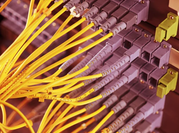 एक प्रौद्योगिकी डेटा सेंटर में नेटवर्क केबल्स और सर्वर का शॉट — स्टॉक फ़ोटो, इमेज