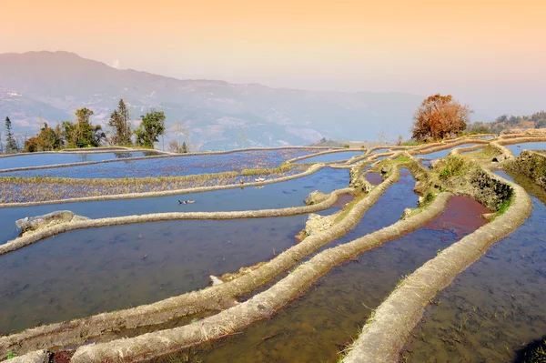 Terrasses de riz de yuanyang dans le Yunnan, Chine — Photo
