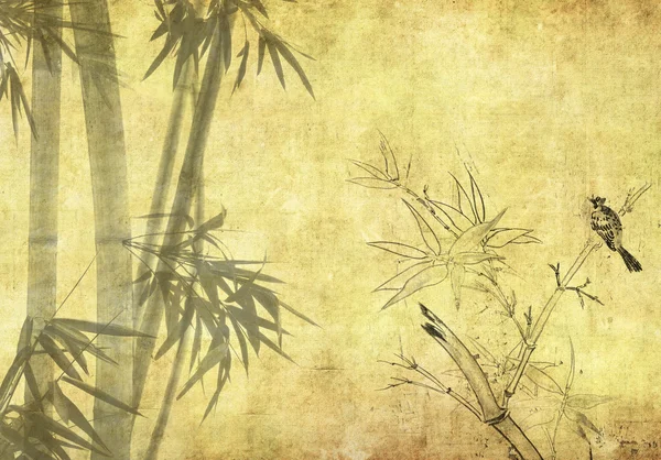 Bambu arka plan ile taze orkide — Stok fotoğraf