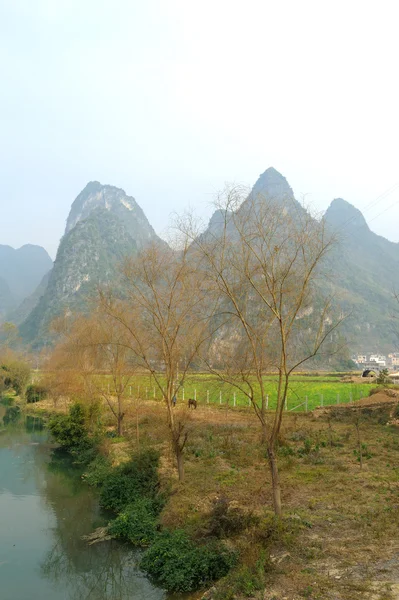 Krajobraz w Yangshuo Guilin, Chiny — Zdjęcie stockowe