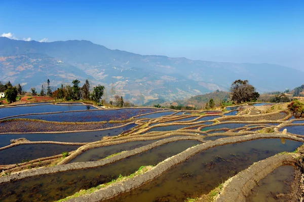 Terrasses de riz de yuanyang dans le Yunnan, Chine — Photo