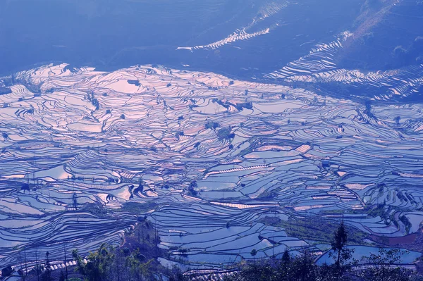 Terrazze di riso di yuanyang in Yunnan, Cina — Foto Stock