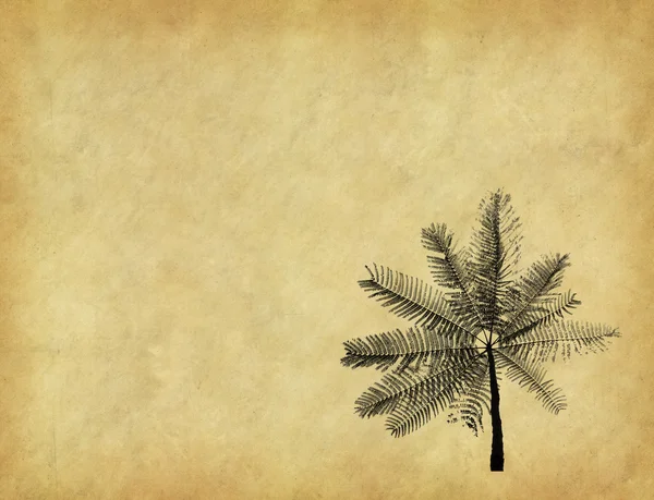 Palm se sadou abstraktní malované pozadí — Stock fotografie