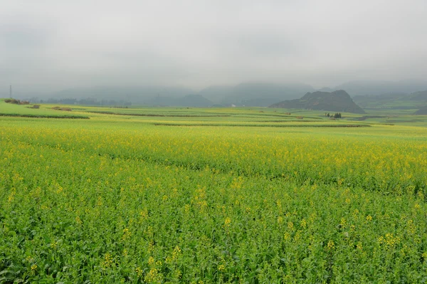 Krajobraz w Yangshuo Guilin, Chiny — Zdjęcie stockowe