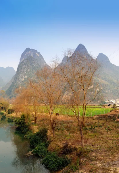 Wunderschöne Karstgebirgslandschaft in Yangshuo Guilin, China — Stockfoto