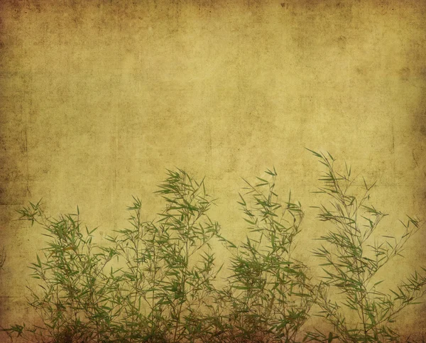 Silhuett av grenar av bambu på papper bakgrund — Stockfoto