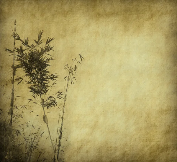 Bamboo on old grunge antique paper texture — Stock Photo, Image