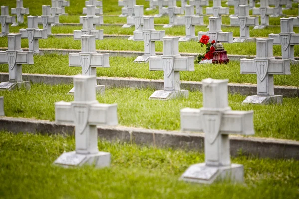 stock image Military cemetery crosses