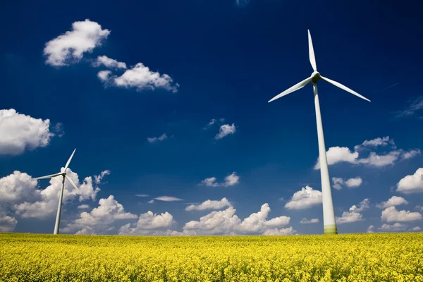 レイプの風車 — ストック写真