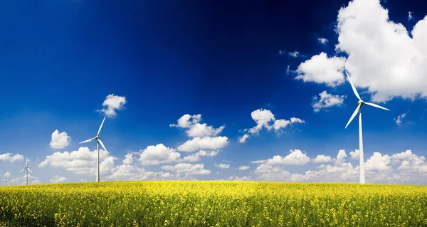 Panorama windmills — Stock Photo, Image