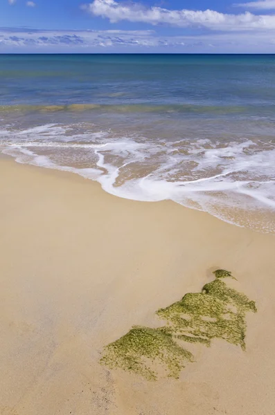 Areia na praia — Fotografia de Stock
