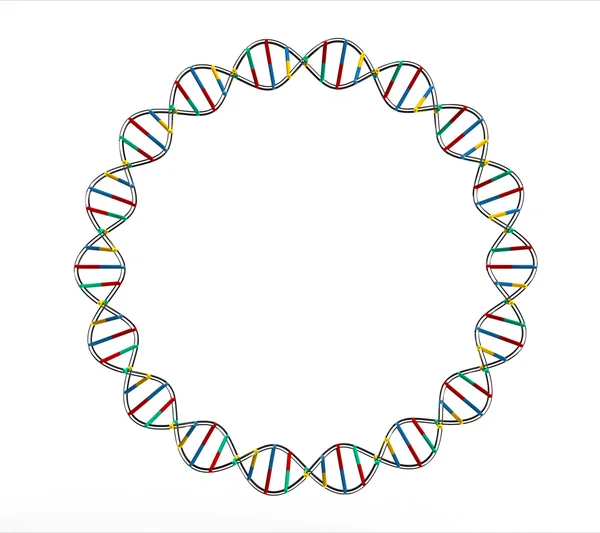 ДНК коло — стокове фото