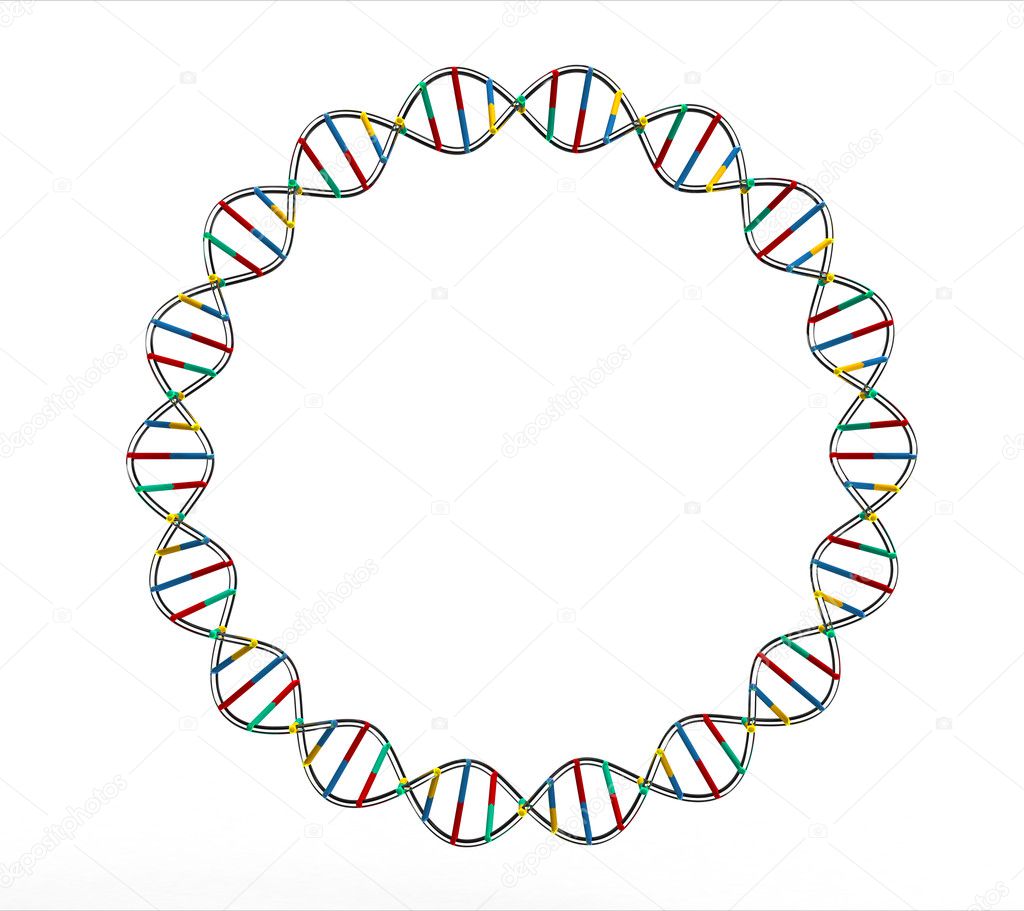 DNA circle