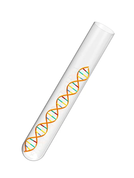 ДНК в пробірці — стокове фото
