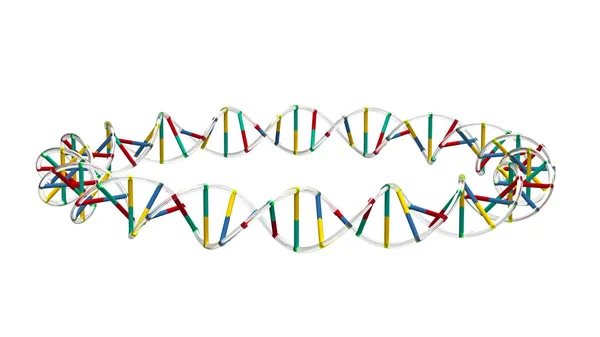 ADN en un círculo —  Fotos de Stock