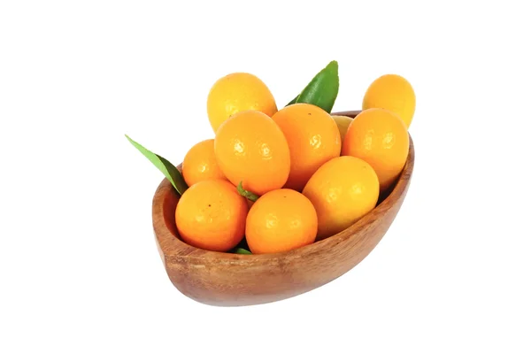 stock image Kumquat