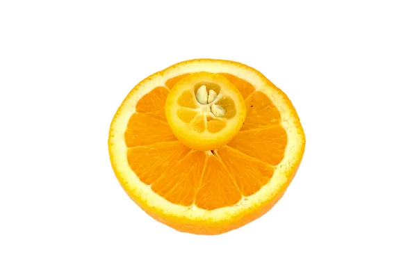 Kumquat and orange — Stock Photo, Image