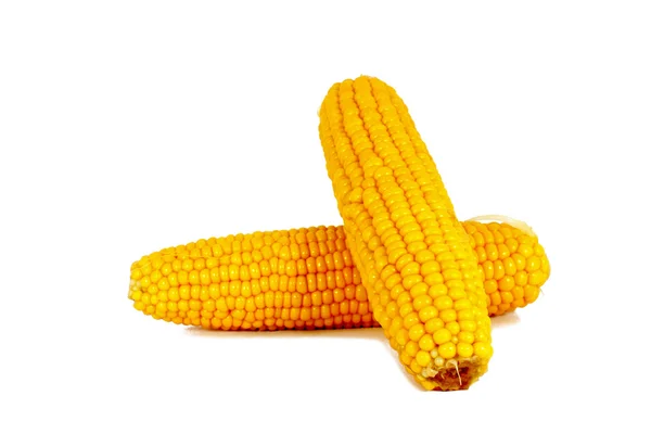 Gekookte maïs maïskolf suikermaïs — Stockfoto