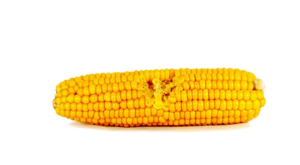 Mazorca de maíz cocido — Foto de Stock
