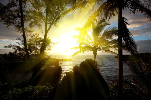Hawaii Günbatımı — Stok fotoğraf