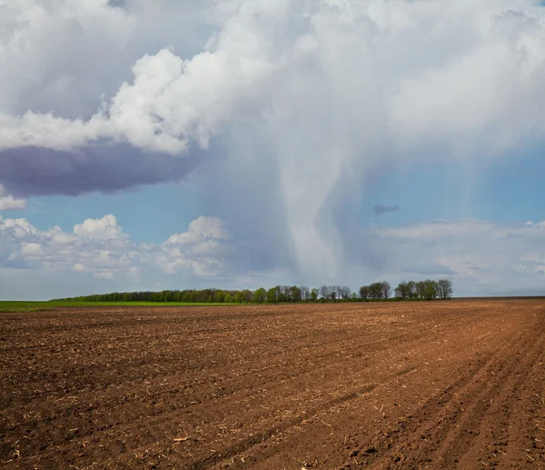 Chuva no campo — Fotografia de Stock