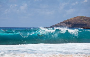 Hawaii üzerinde yüzmek