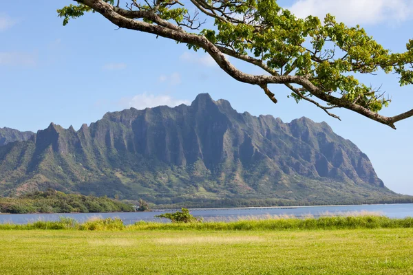 Hawaï-Oahu île — Photo