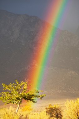 Rainbow in mountains clipart