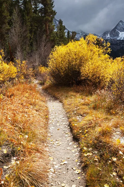 Herbst in Sierra Nevada — Stockfoto
